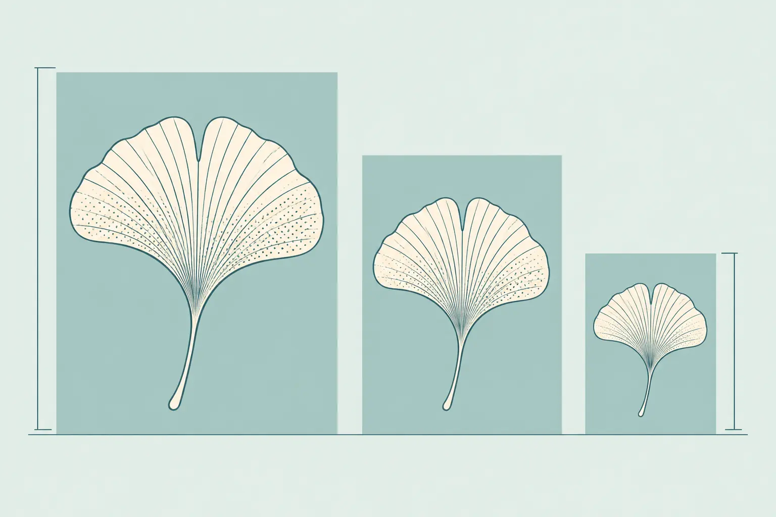 Three botanical prints at decreasing sizes preserve the same leaf composition and proportions.